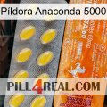 Píldora Anaconda 5000 new05